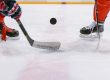 Sheffield Steelers offer