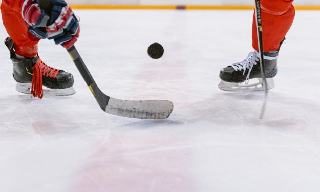 Sheffield Steelers offer Sheffield Steelers offer